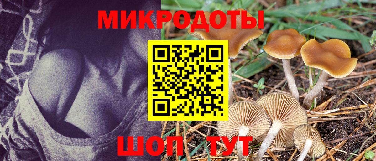 Псилоцибиновые грибы ЛСД  Вход с VPN  цены наркотик  Сертолово 